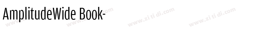 AmplitudeWide Book字体转换